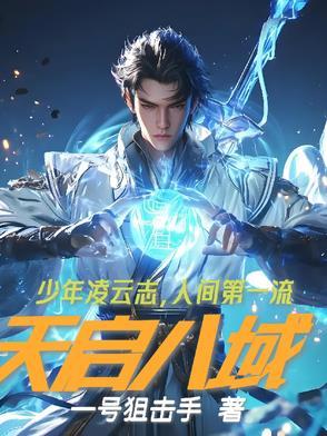 天启设定