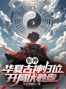 面麻的火影记录TXT